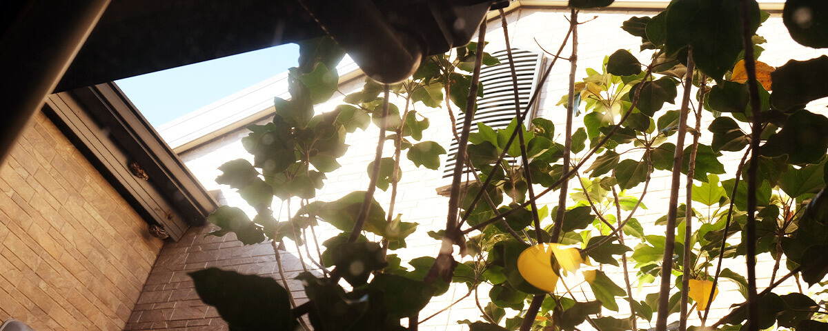 グループホームつばさー風景(ファインケア株式会社）